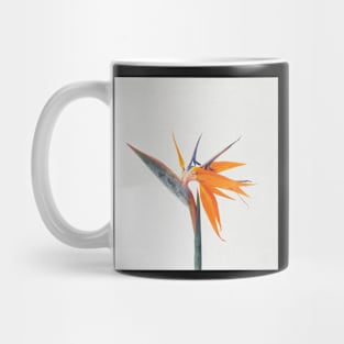 Bird of Paradise Mug